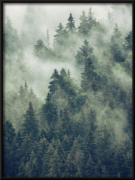 Brouillard parmi les arbres Poster – Image 4