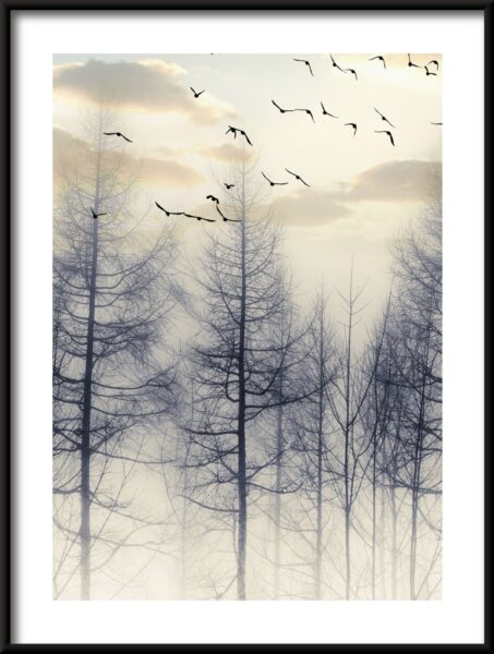 Oiseaux parmi les arbres Poster – Image 3