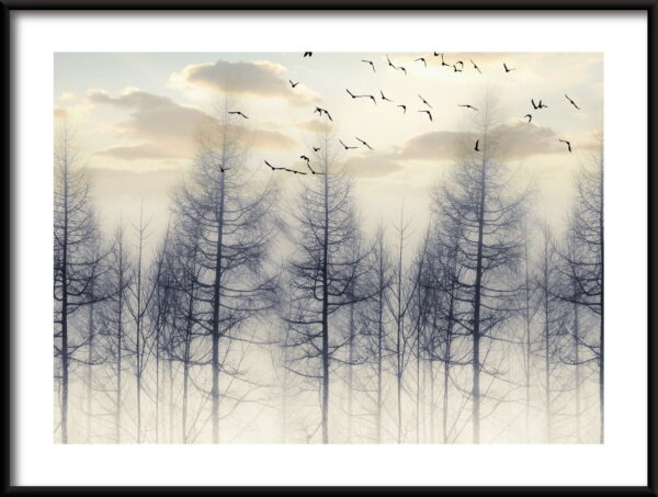 Oiseaux parmi les arbres Poster