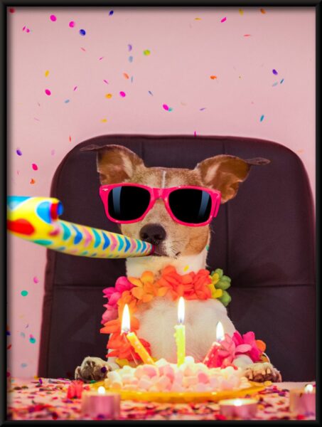 Anniversaire de chien Poster – Image 4