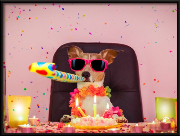 Anniversaire de chien Poster – Image 2