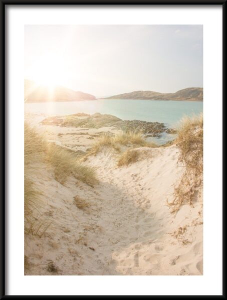 Affiche de plage d'été