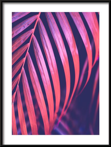 Paume rose Poster – Image 3
