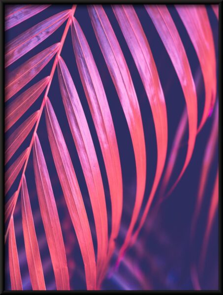 Paume rose Poster – Image 4