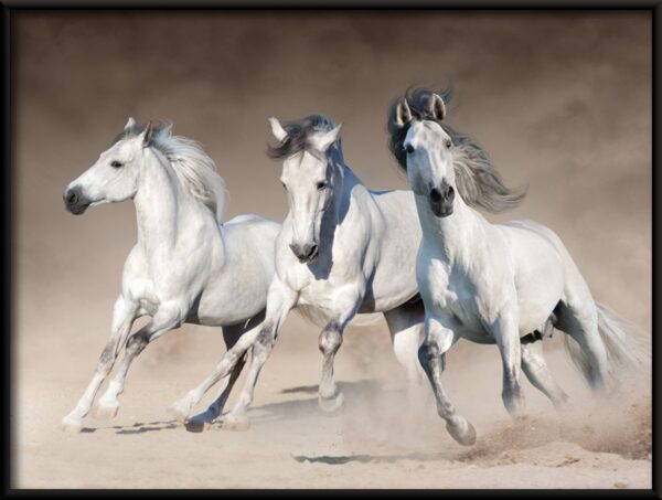 Affiche de trois chevaux – Image 2