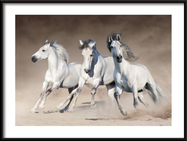 Affiche de trois chevaux