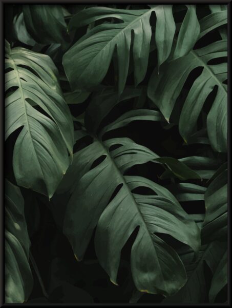Feuille plus épaisse Poster – Image 4