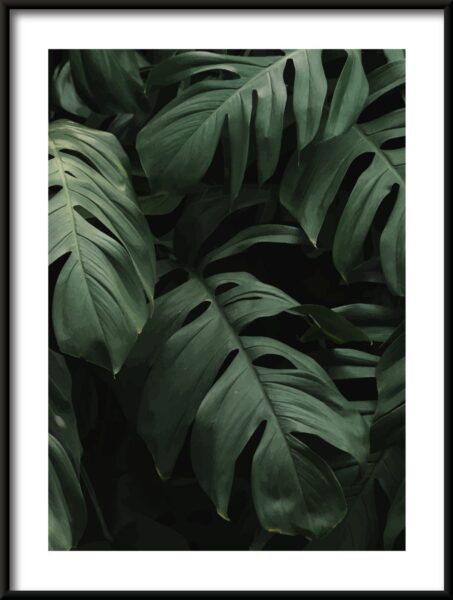 Feuille plus épaisse Poster – Image 3