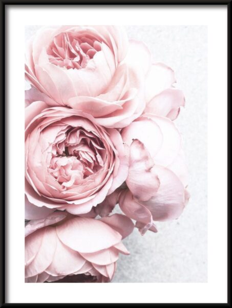 Affiche bouquet de pivoines