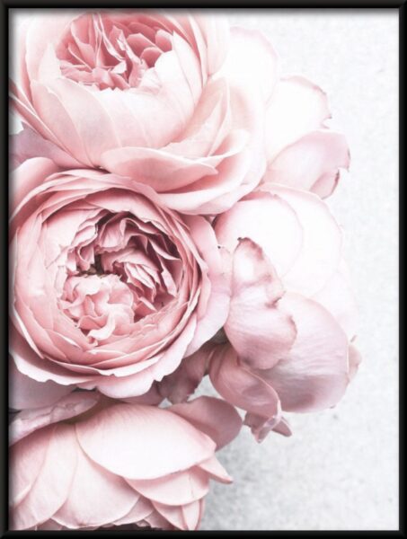 Affiche bouquet de pivoines – Image 2