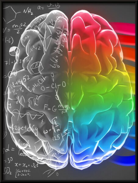 Affiche du cerveau parfait – Image 4