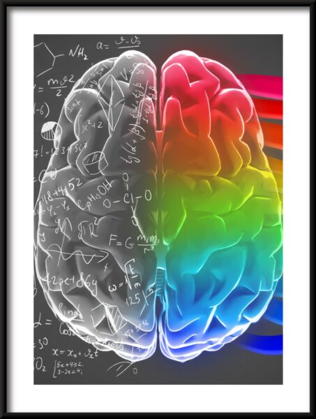 Affiche du cerveau parfait – Image 3