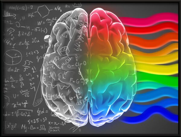 Affiche du cerveau parfait – Image 2