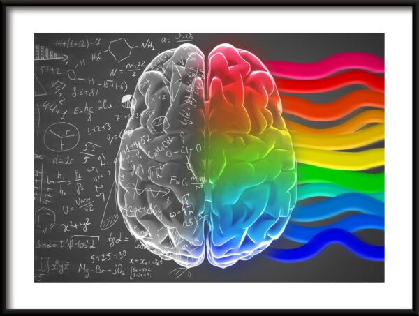 Affiche du cerveau parfait