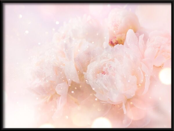 Fleur délicate Poster – Image 2