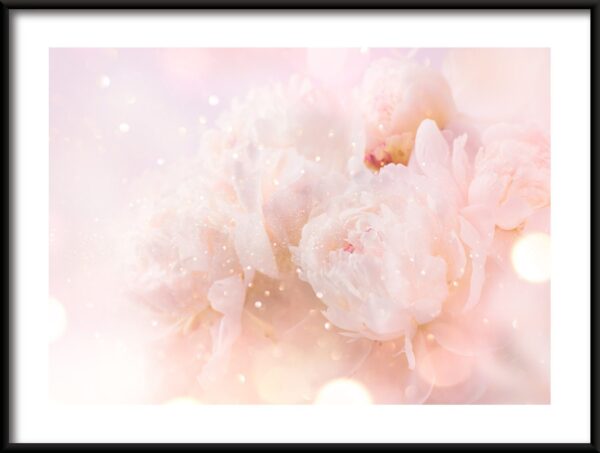 Fleur délicate Poster
