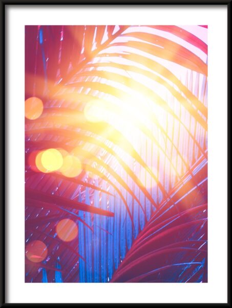 Affiche de palmiers – Image 3