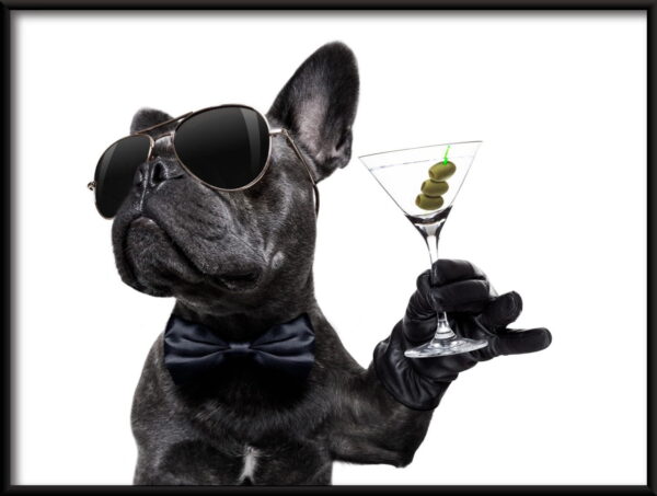 Chien avec une affiche de boisson – Image 2