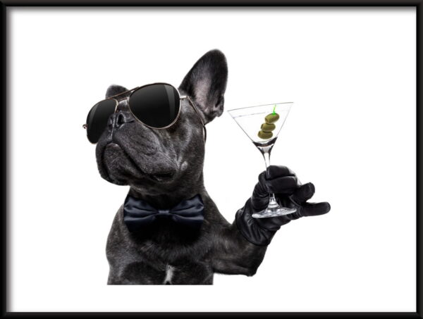 Chien avec une affiche de boisson
