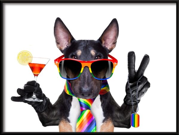 Chien coloré Poster – Image 2
