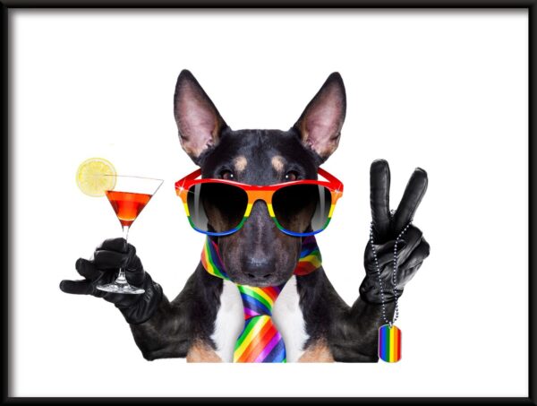 Chien coloré Poster
