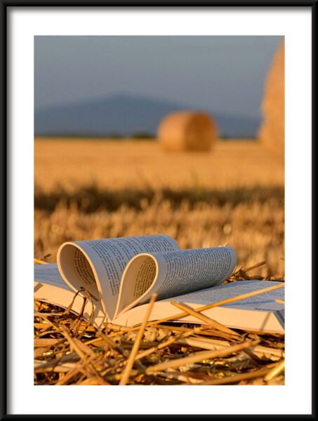Affiche de coeur de livre – Image 3