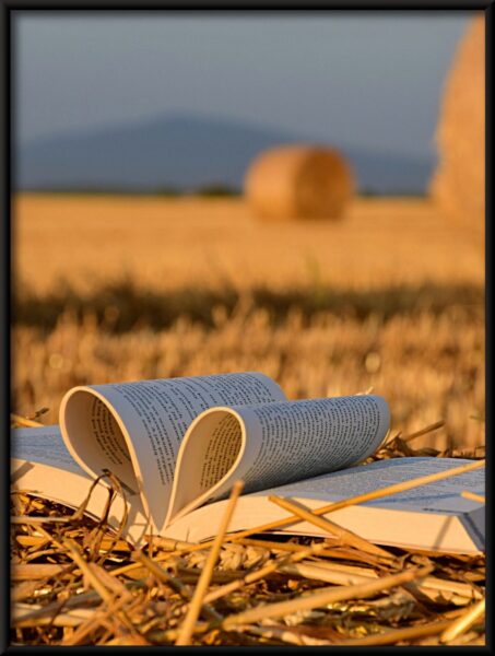 Affiche de coeur de livre – Image 4