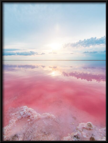 Affiche lac rose – Image 4