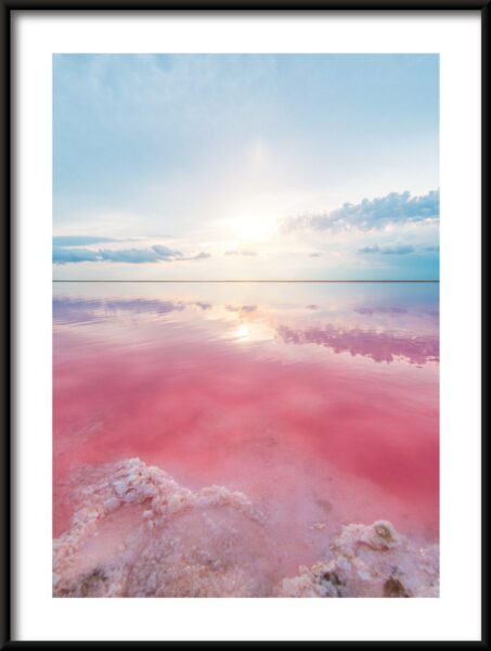 Affiche lac rose – Image 3
