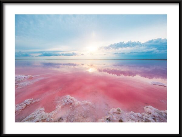 Affiche lac rose