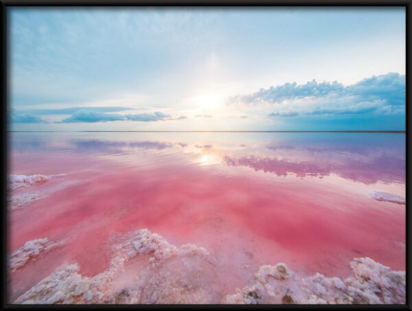 Affiche lac rose – Image 2