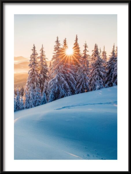Affiche soleil d'hiver – Image 3