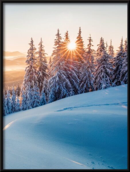 Affiche soleil d'hiver – Image 4