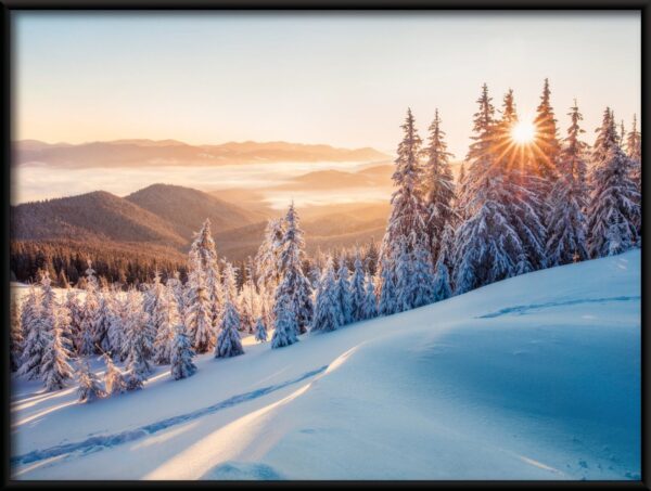 Affiche soleil d'hiver – Image 2