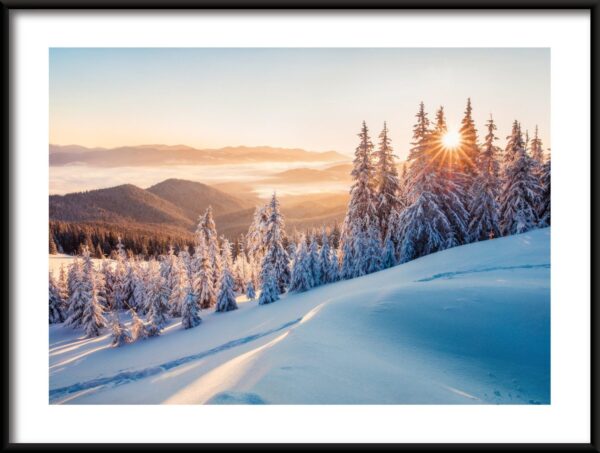 Affiche soleil d'hiver