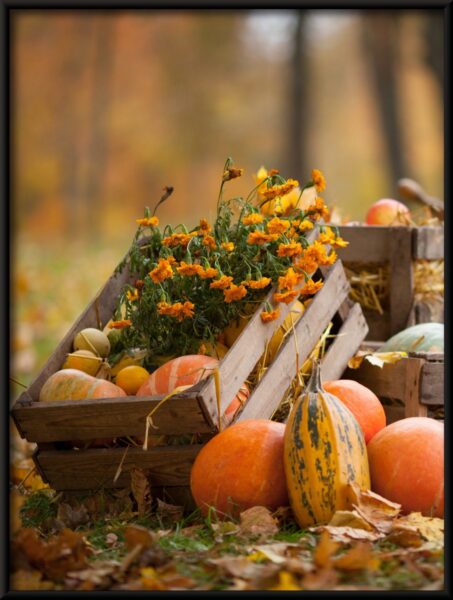 Récolte d'automne Poster – Image 4
