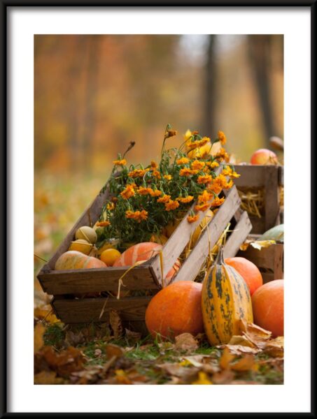 Récolte d'automne Poster – Image 3