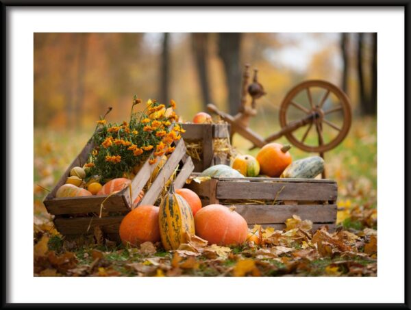 Récolte d'automne Poster