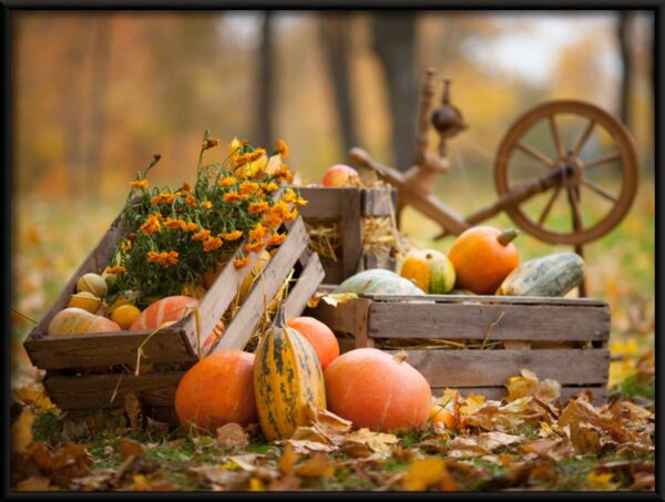 Récolte d'automne Poster – Image 2