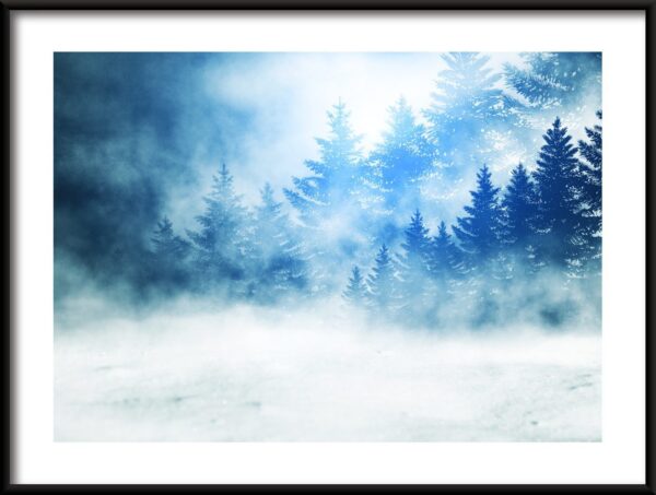 Affiche Sapins de Noël dans la neige