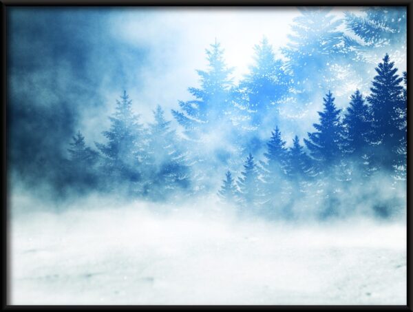 Affiche Sapins de Noël dans la neige – Image 2