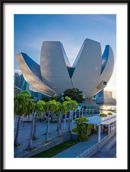 Fleur urbaine Poster – Image 3