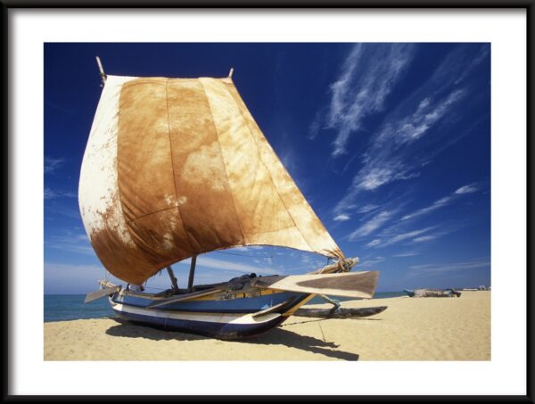 Bateau avec une affiche de voile