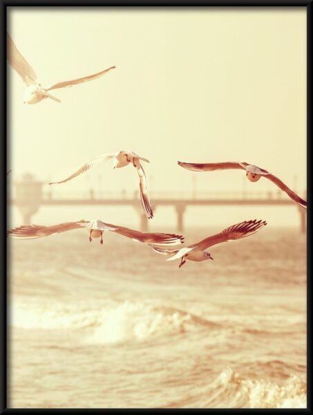 Oiseaux de bord de mer Poster – Image 4