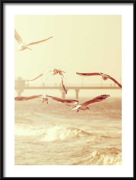 Oiseaux de bord de mer Poster – Image 3