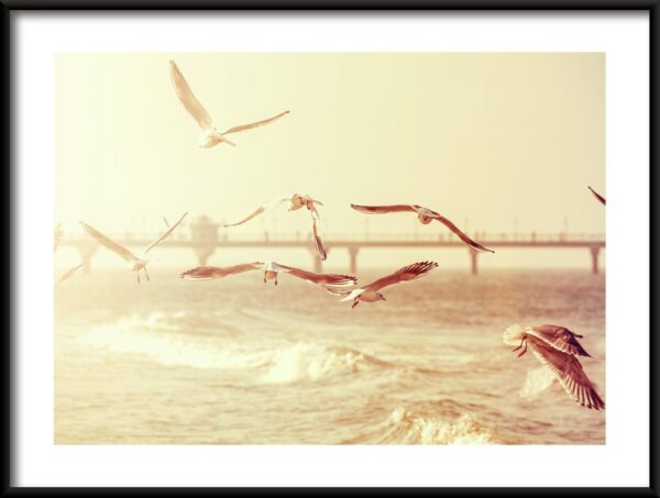Oiseaux de bord de mer Poster