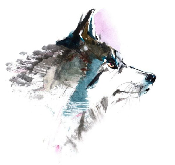 Poster XXL Loup peint