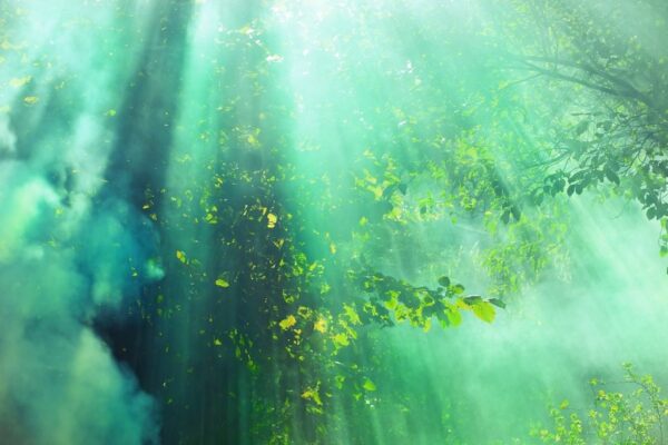 Peinture murale Rayons verts