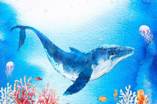 Peinture murale Baleine et Méduse