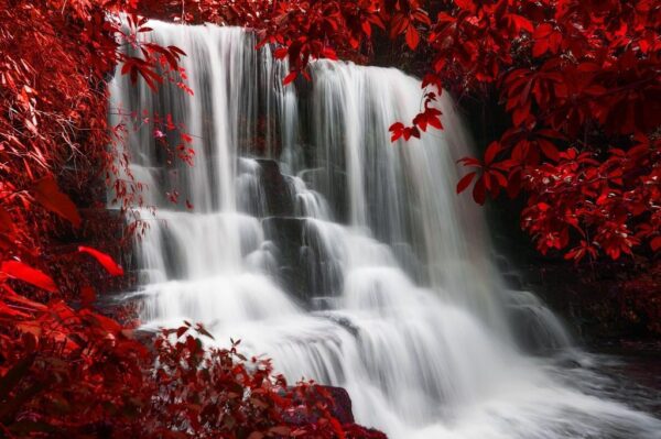 Peinture murale Cascade et Feuilles